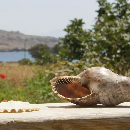 Апартаменты Pleiades *