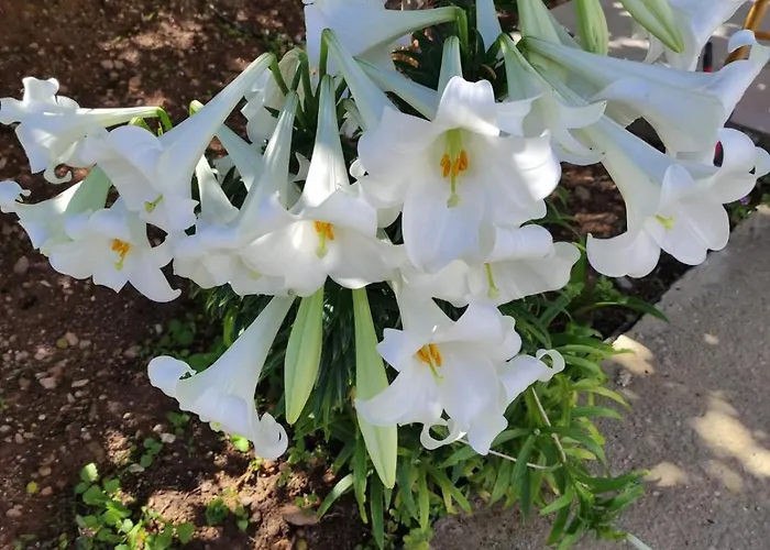 Apartamento Pleiades